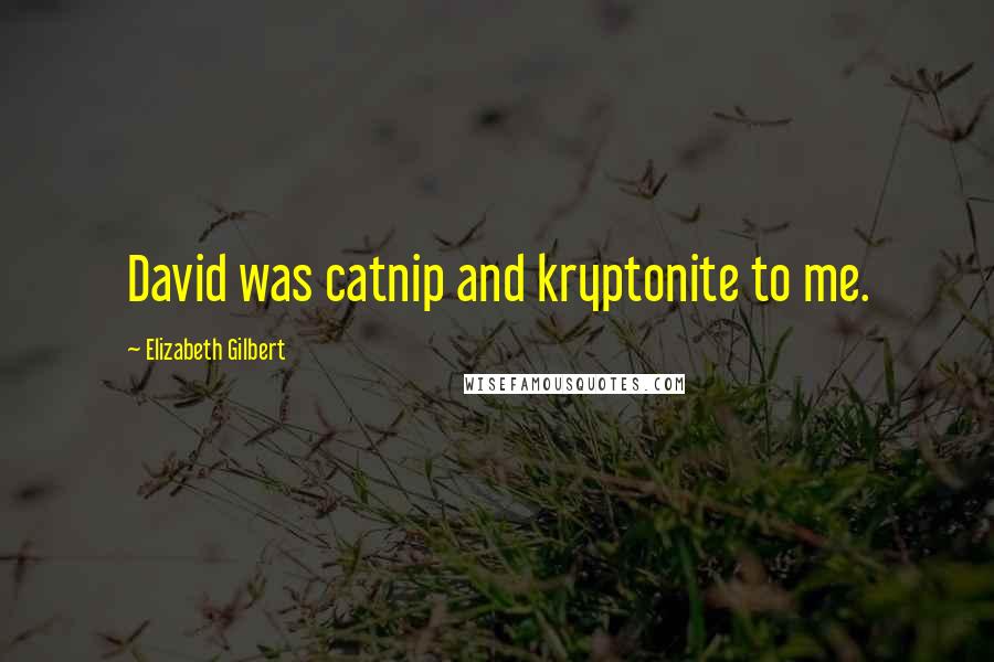 Elizabeth Gilbert Quotes: David was catnip and kryptonite to me.