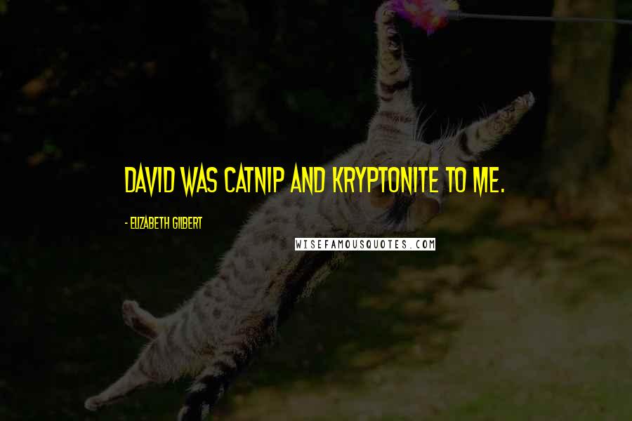 Elizabeth Gilbert Quotes: David was catnip and kryptonite to me.