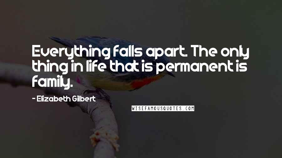 Elizabeth Gilbert Quotes: Everything falls apart. The only thing in life that is permanent is family.