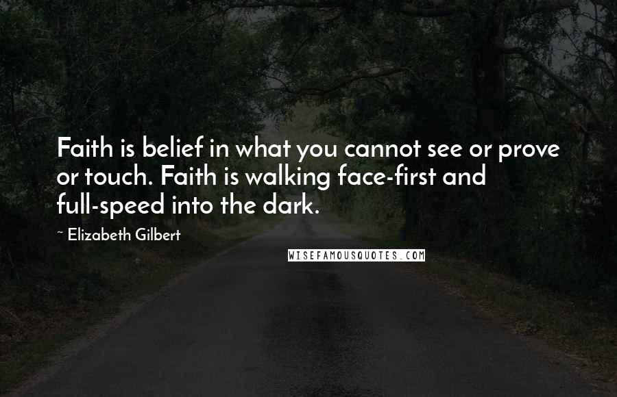 Elizabeth Gilbert Quotes: Faith is belief in what you cannot see or prove or touch. Faith is walking face-first and full-speed into the dark.