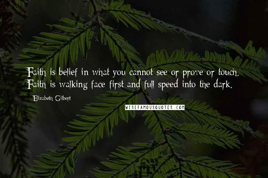 Elizabeth Gilbert Quotes: Faith is belief in what you cannot see or prove or touch. Faith is walking face-first and full-speed into the dark.