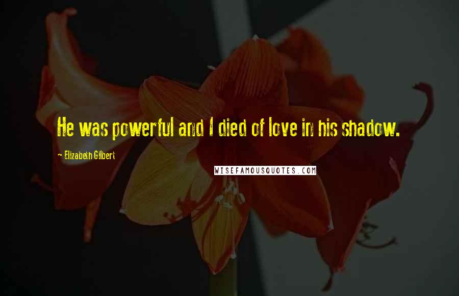 Elizabeth Gilbert Quotes: He was powerful and I died of love in his shadow.