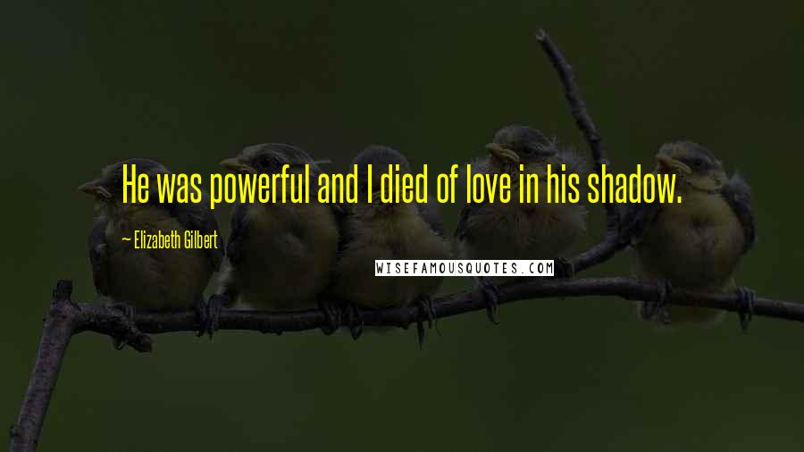 Elizabeth Gilbert Quotes: He was powerful and I died of love in his shadow.