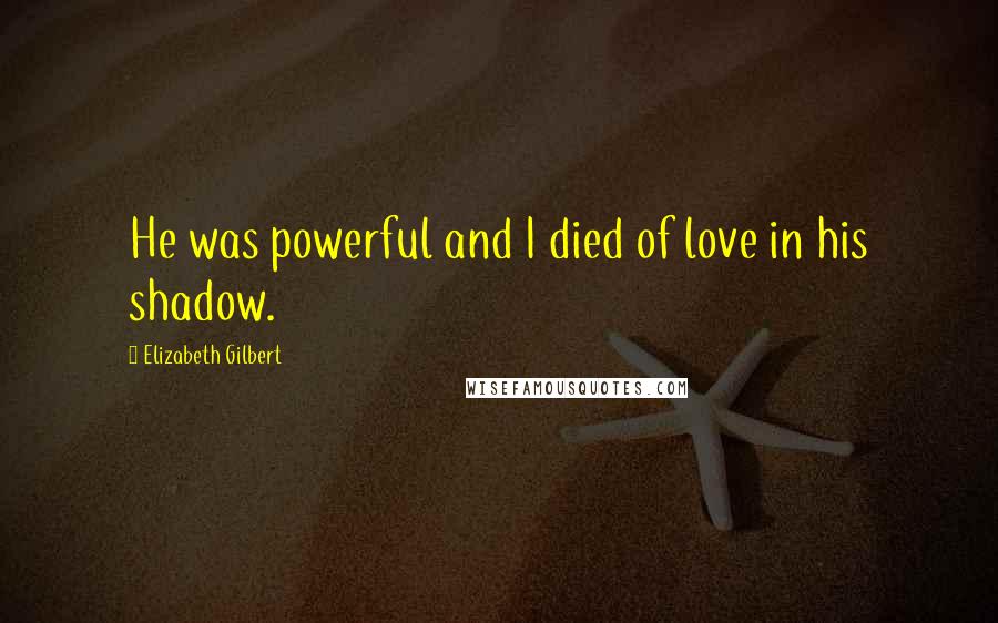 Elizabeth Gilbert Quotes: He was powerful and I died of love in his shadow.