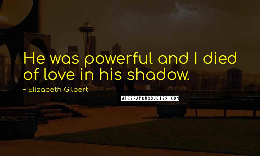 Elizabeth Gilbert Quotes: He was powerful and I died of love in his shadow.