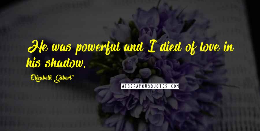 Elizabeth Gilbert Quotes: He was powerful and I died of love in his shadow.