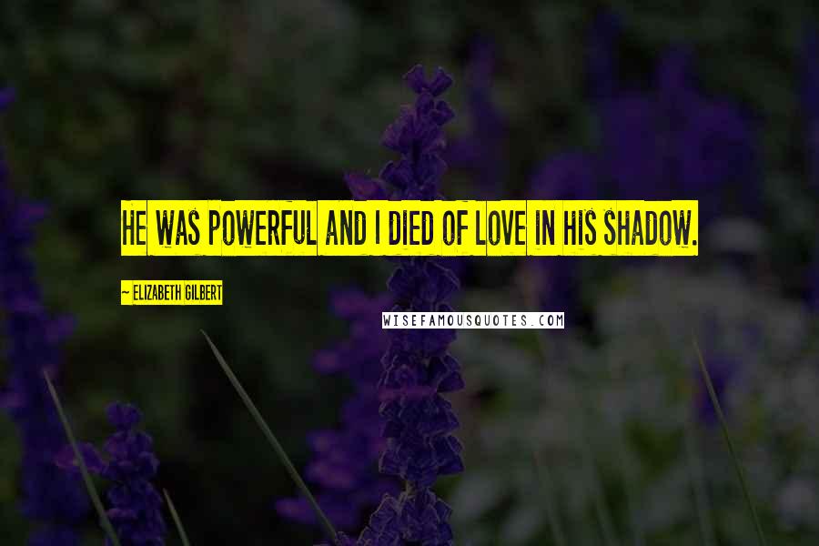 Elizabeth Gilbert Quotes: He was powerful and I died of love in his shadow.