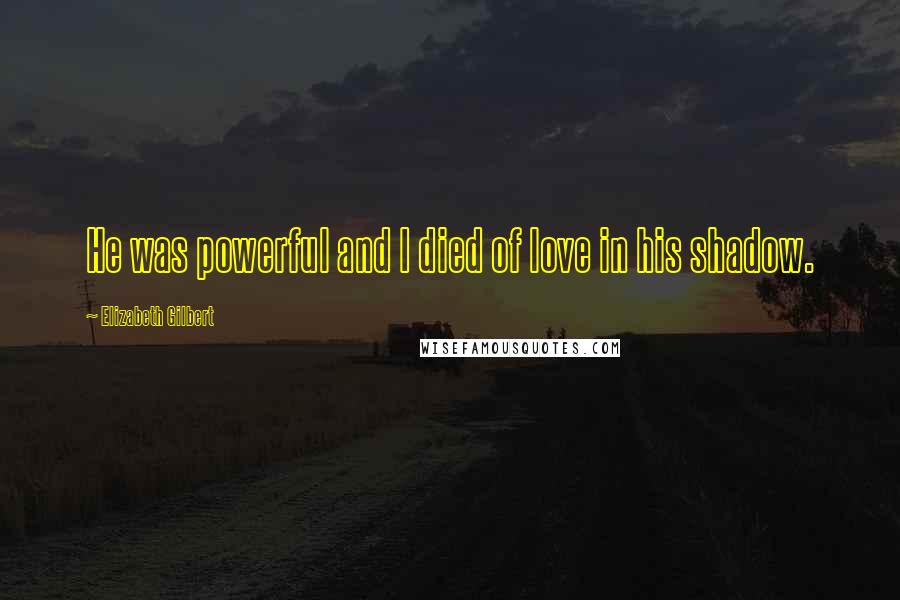 Elizabeth Gilbert Quotes: He was powerful and I died of love in his shadow.