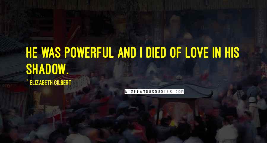 Elizabeth Gilbert Quotes: He was powerful and I died of love in his shadow.