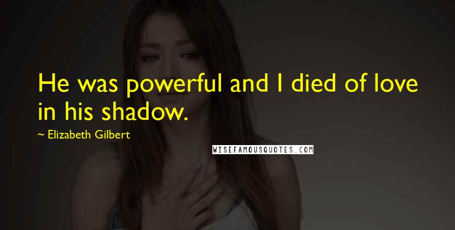 Elizabeth Gilbert Quotes: He was powerful and I died of love in his shadow.