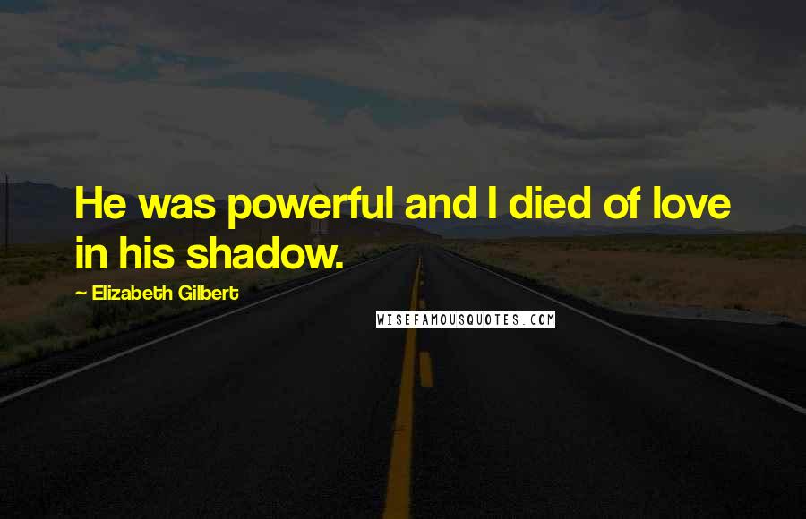 Elizabeth Gilbert Quotes: He was powerful and I died of love in his shadow.