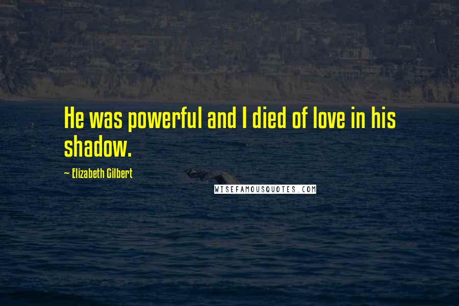 Elizabeth Gilbert Quotes: He was powerful and I died of love in his shadow.