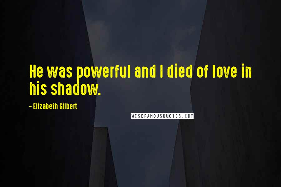 Elizabeth Gilbert Quotes: He was powerful and I died of love in his shadow.