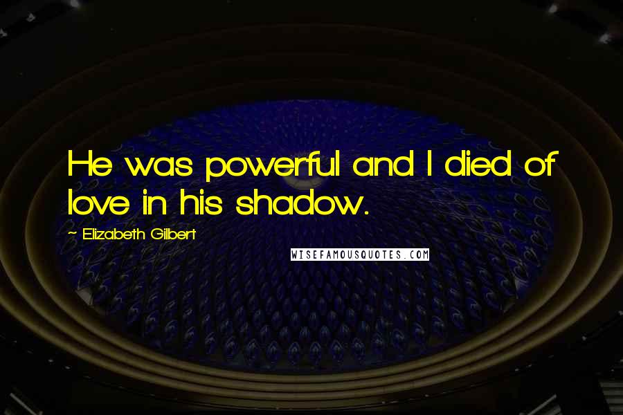 Elizabeth Gilbert Quotes: He was powerful and I died of love in his shadow.