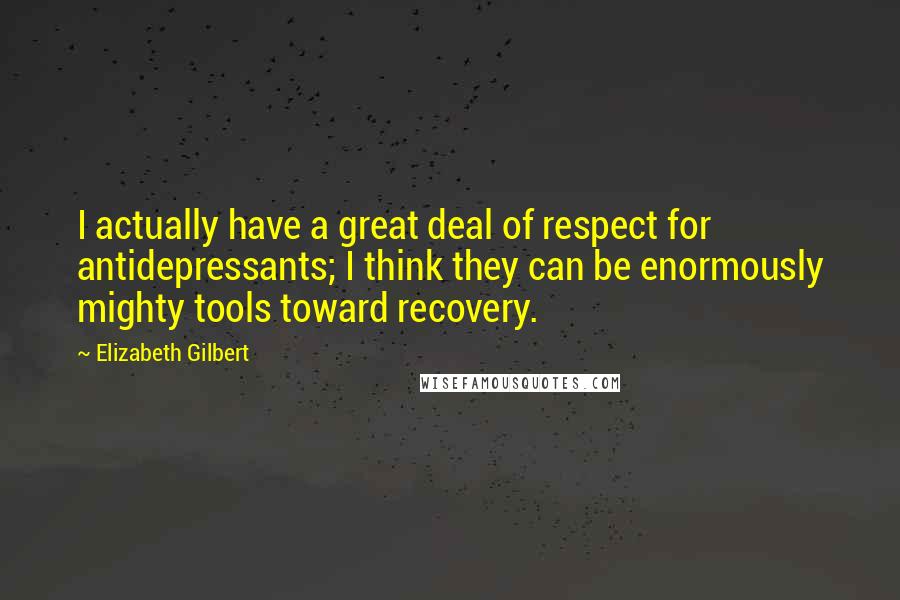 Elizabeth Gilbert Quotes: I actually have a great deal of respect for antidepressants; I think they can be enormously mighty tools toward recovery.