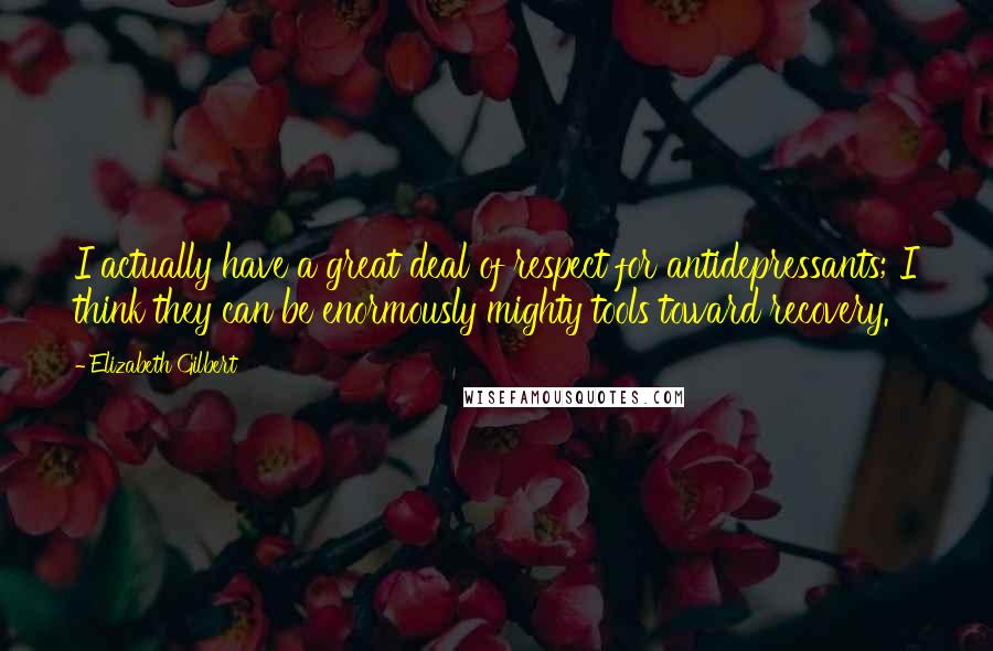 Elizabeth Gilbert Quotes: I actually have a great deal of respect for antidepressants; I think they can be enormously mighty tools toward recovery.