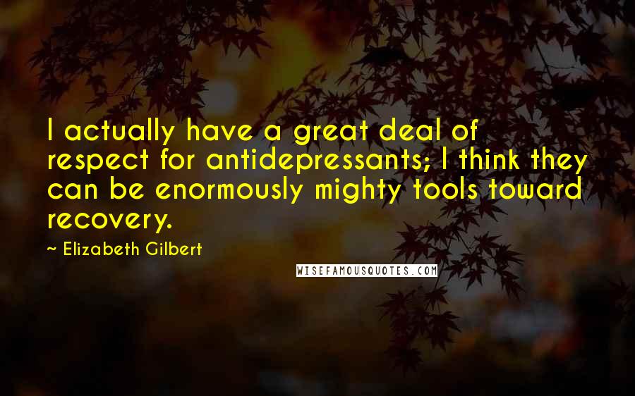 Elizabeth Gilbert Quotes: I actually have a great deal of respect for antidepressants; I think they can be enormously mighty tools toward recovery.