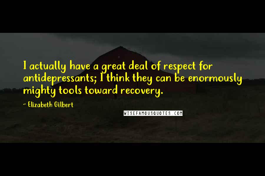 Elizabeth Gilbert Quotes: I actually have a great deal of respect for antidepressants; I think they can be enormously mighty tools toward recovery.