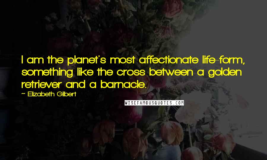 Elizabeth Gilbert Quotes: I am the planet's most affectionate life-form, something like the cross between a golden retriever and a barnacle.