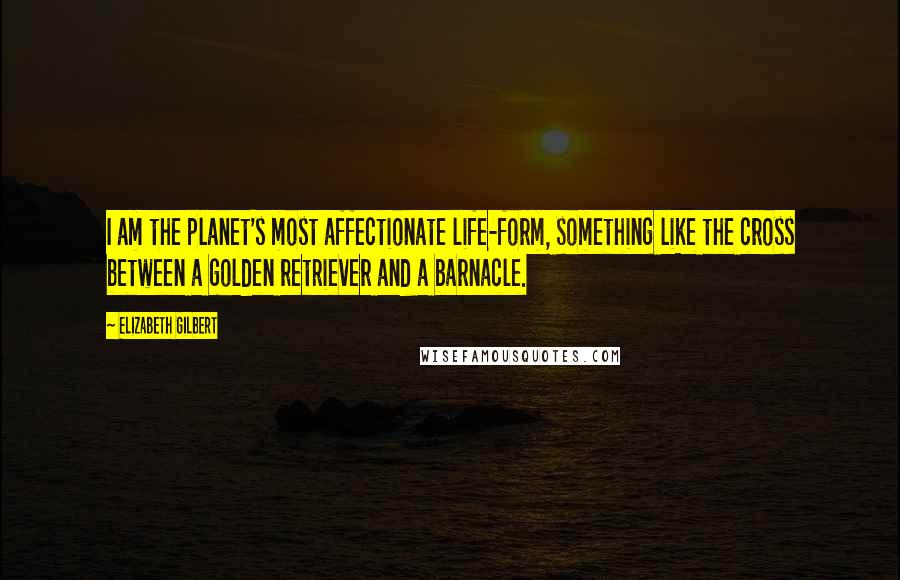 Elizabeth Gilbert Quotes: I am the planet's most affectionate life-form, something like the cross between a golden retriever and a barnacle.