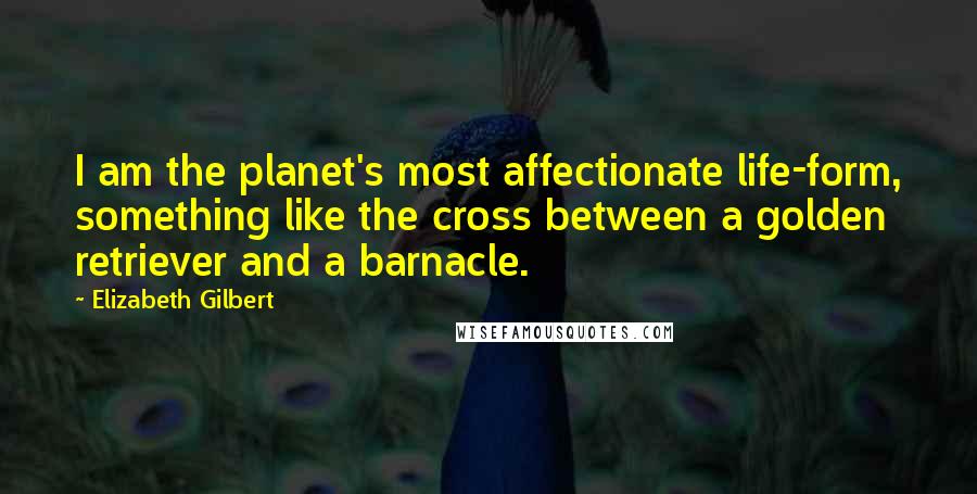 Elizabeth Gilbert Quotes: I am the planet's most affectionate life-form, something like the cross between a golden retriever and a barnacle.