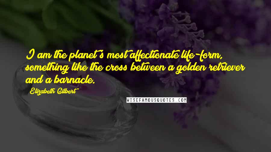 Elizabeth Gilbert Quotes: I am the planet's most affectionate life-form, something like the cross between a golden retriever and a barnacle.