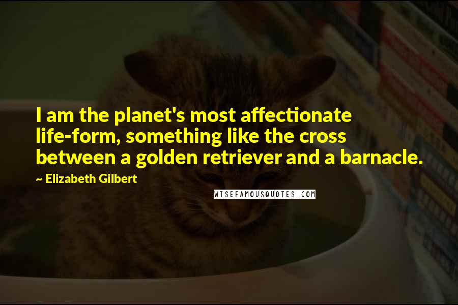 Elizabeth Gilbert Quotes: I am the planet's most affectionate life-form, something like the cross between a golden retriever and a barnacle.