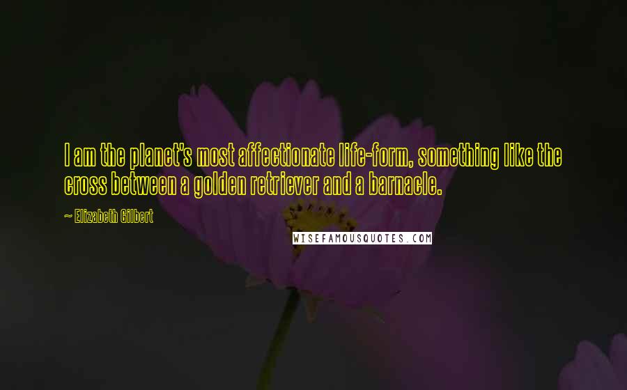 Elizabeth Gilbert Quotes: I am the planet's most affectionate life-form, something like the cross between a golden retriever and a barnacle.