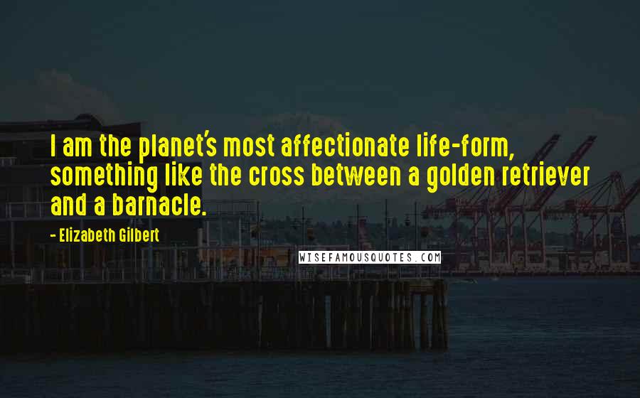 Elizabeth Gilbert Quotes: I am the planet's most affectionate life-form, something like the cross between a golden retriever and a barnacle.