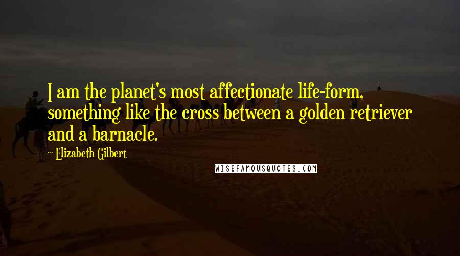 Elizabeth Gilbert Quotes: I am the planet's most affectionate life-form, something like the cross between a golden retriever and a barnacle.