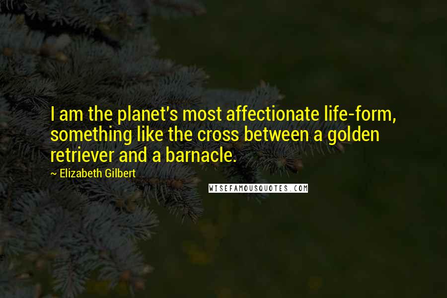 Elizabeth Gilbert Quotes: I am the planet's most affectionate life-form, something like the cross between a golden retriever and a barnacle.