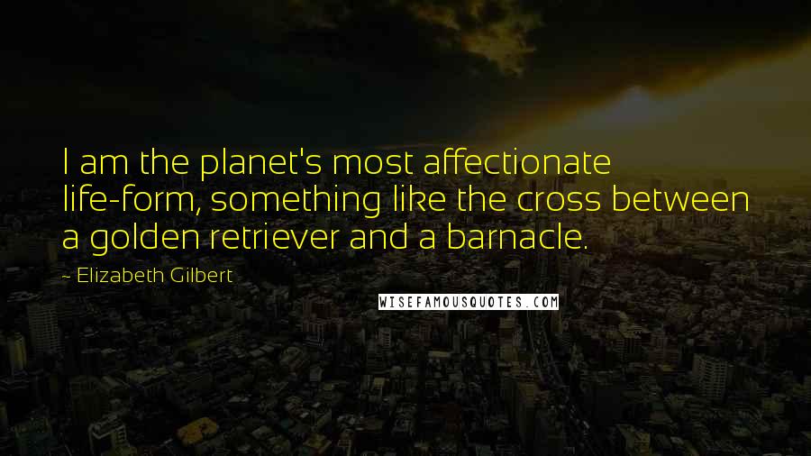 Elizabeth Gilbert Quotes: I am the planet's most affectionate life-form, something like the cross between a golden retriever and a barnacle.