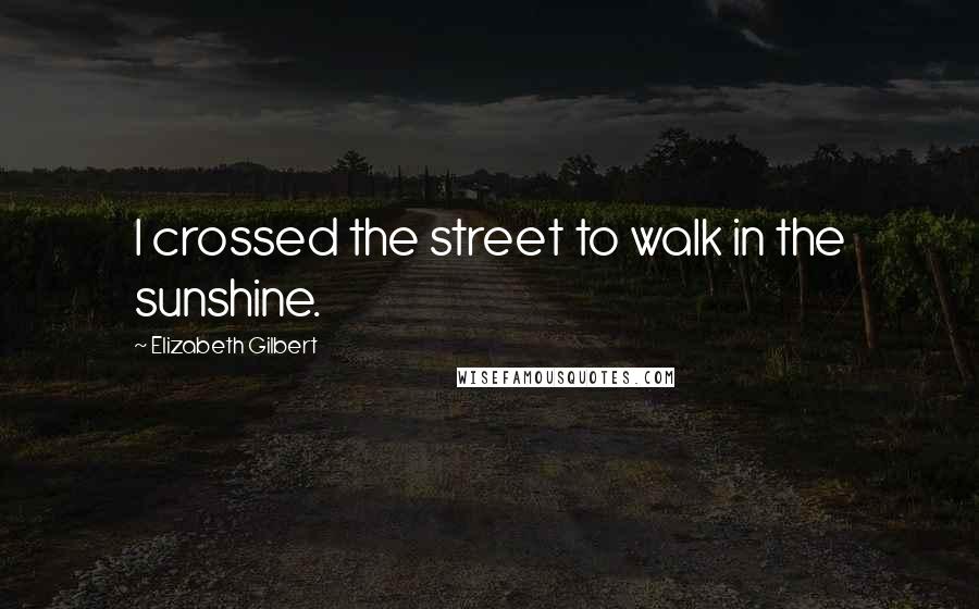 Elizabeth Gilbert Quotes: I crossed the street to walk in the sunshine.
