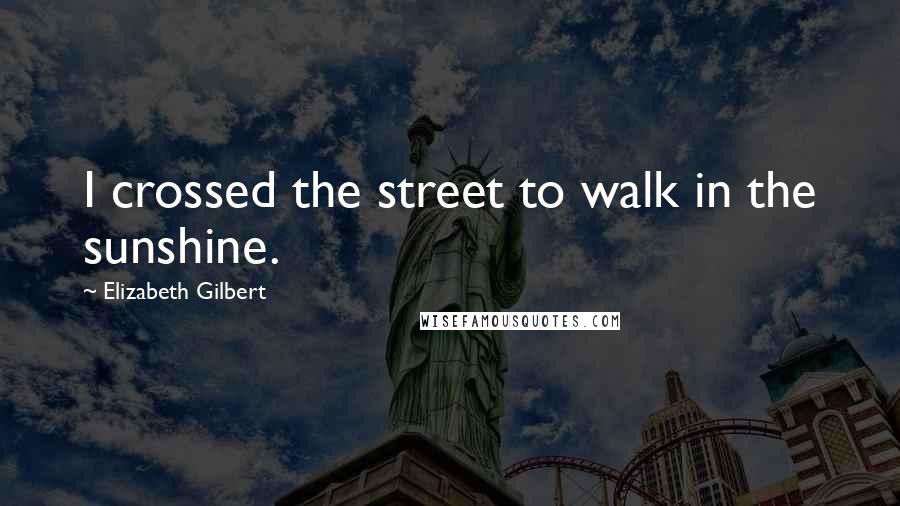 Elizabeth Gilbert Quotes: I crossed the street to walk in the sunshine.