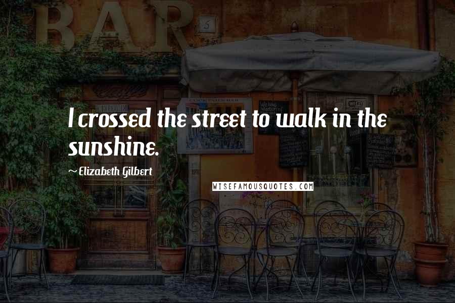 Elizabeth Gilbert Quotes: I crossed the street to walk in the sunshine.
