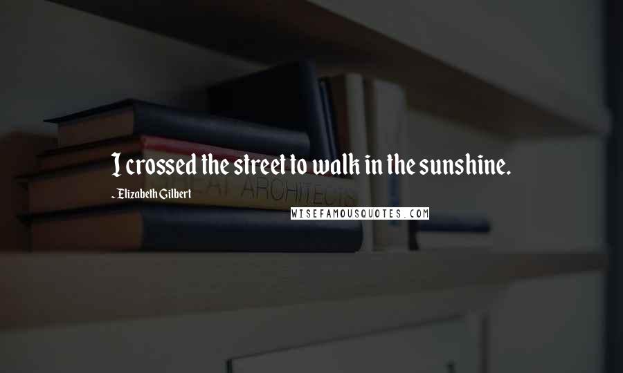 Elizabeth Gilbert Quotes: I crossed the street to walk in the sunshine.