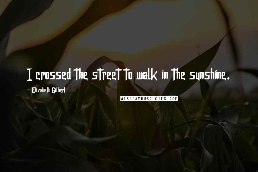 Elizabeth Gilbert Quotes: I crossed the street to walk in the sunshine.