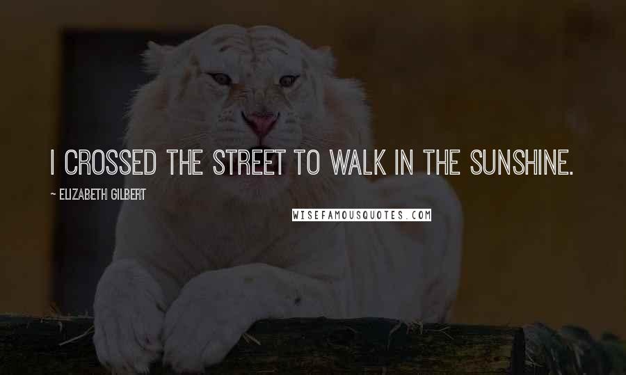 Elizabeth Gilbert Quotes: I crossed the street to walk in the sunshine.