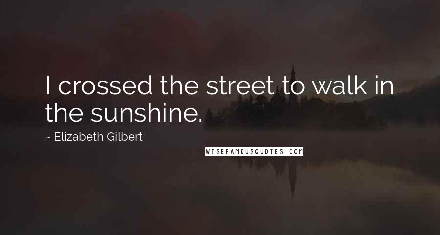 Elizabeth Gilbert Quotes: I crossed the street to walk in the sunshine.