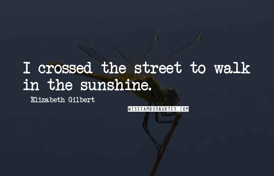 Elizabeth Gilbert Quotes: I crossed the street to walk in the sunshine.