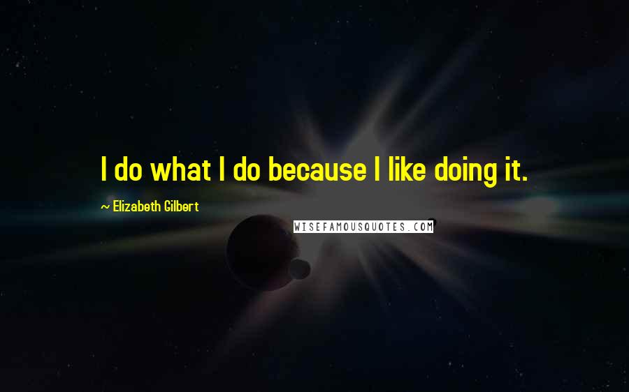 Elizabeth Gilbert Quotes: I do what I do because I like doing it.