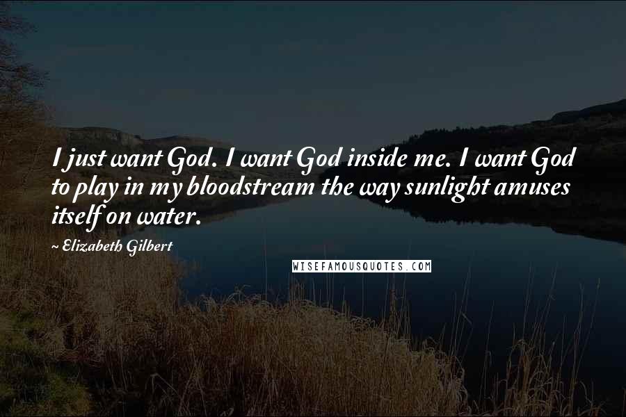 Elizabeth Gilbert Quotes: I just want God. I want God inside me. I want God to play in my bloodstream the way sunlight amuses itself on water.