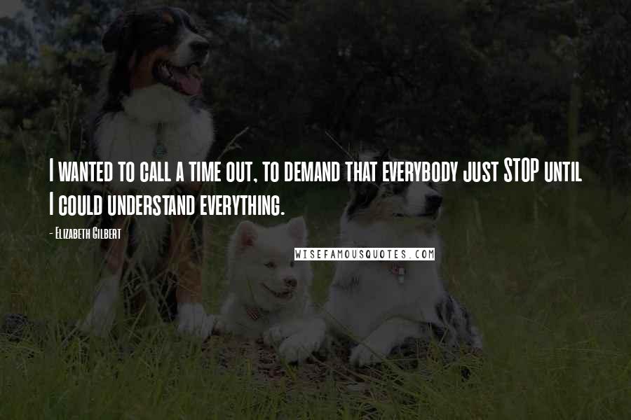 Elizabeth Gilbert Quotes: I wanted to call a time out, to demand that everybody just STOP until I could understand everything.