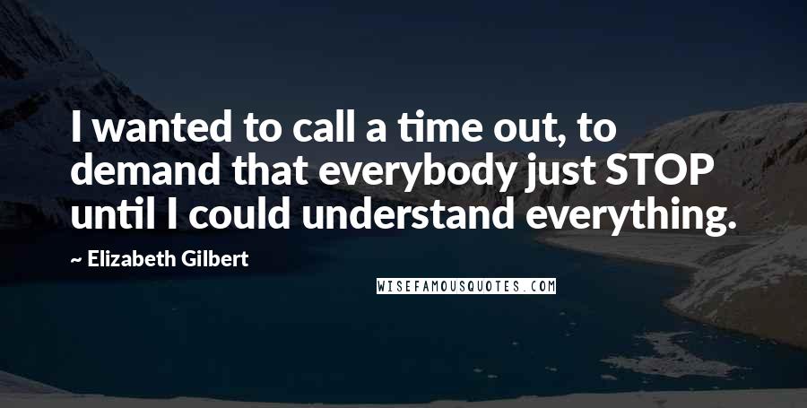 Elizabeth Gilbert Quotes: I wanted to call a time out, to demand that everybody just STOP until I could understand everything.