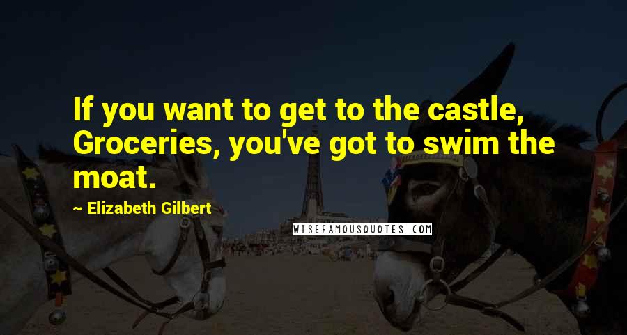 Elizabeth Gilbert Quotes: If you want to get to the castle, Groceries, you've got to swim the moat.