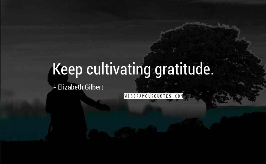 Elizabeth Gilbert Quotes: Keep cultivating gratitude.