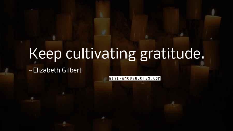 Elizabeth Gilbert Quotes: Keep cultivating gratitude.