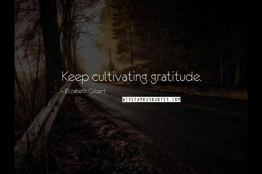 Elizabeth Gilbert Quotes: Keep cultivating gratitude.