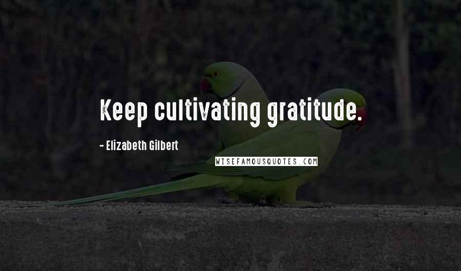 Elizabeth Gilbert Quotes: Keep cultivating gratitude.