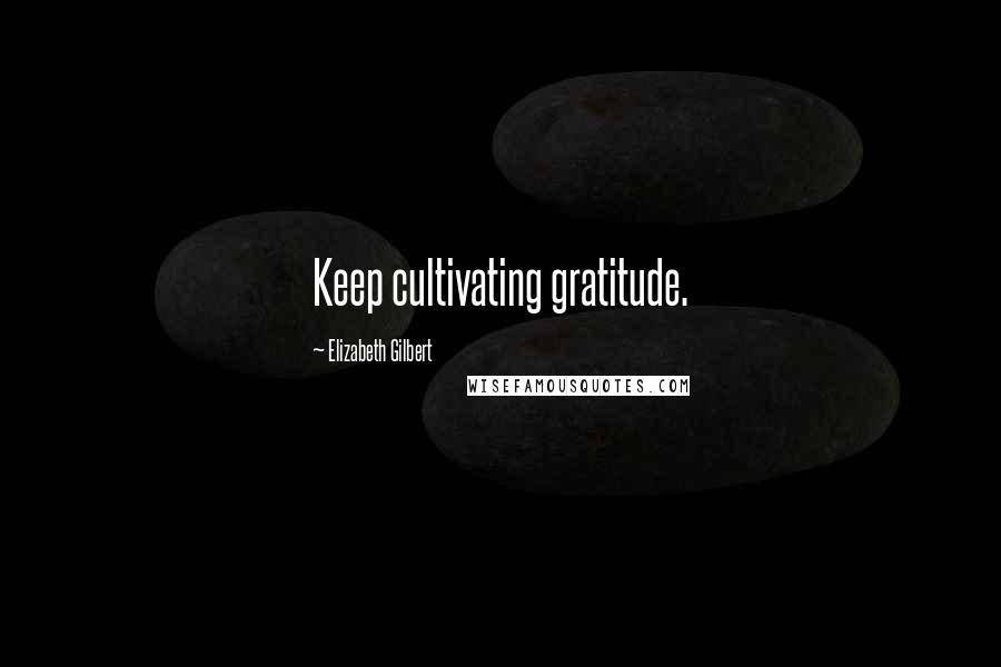 Elizabeth Gilbert Quotes: Keep cultivating gratitude.